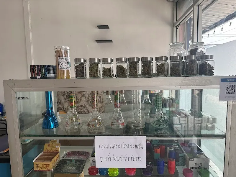 ร้านกัญชาบางปะหันนครหลวง อยุธยา House weed (cannabis)