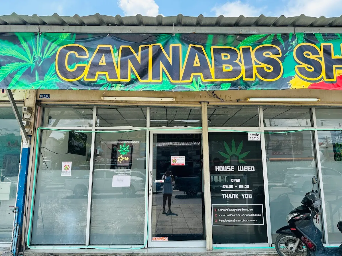 ร้านกัญชาบางปะหันนครหลวง อยุธยา House weed (cannabis)