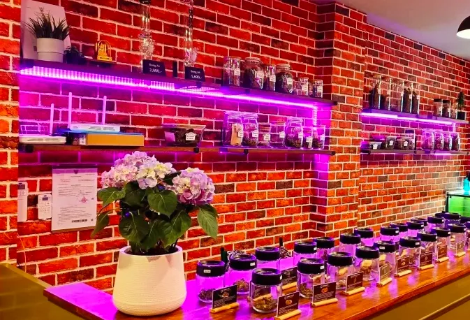 Humbrid Cannabis Thailand Shop & Bar