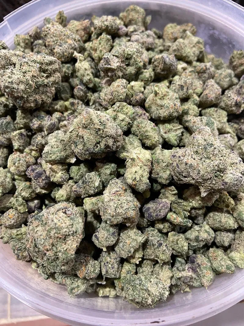 ร้านกัญชาI KACK CANNABIS