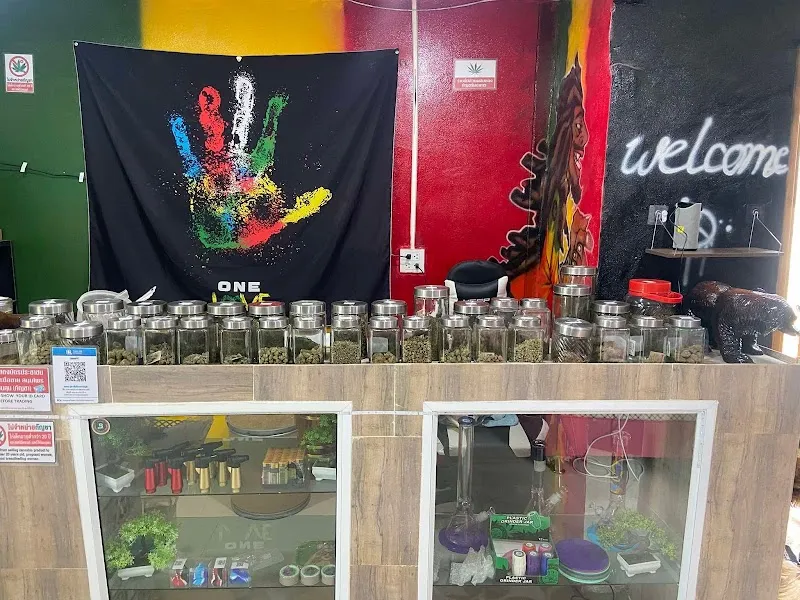 ร้านกัญชาI KACK CANNABIS