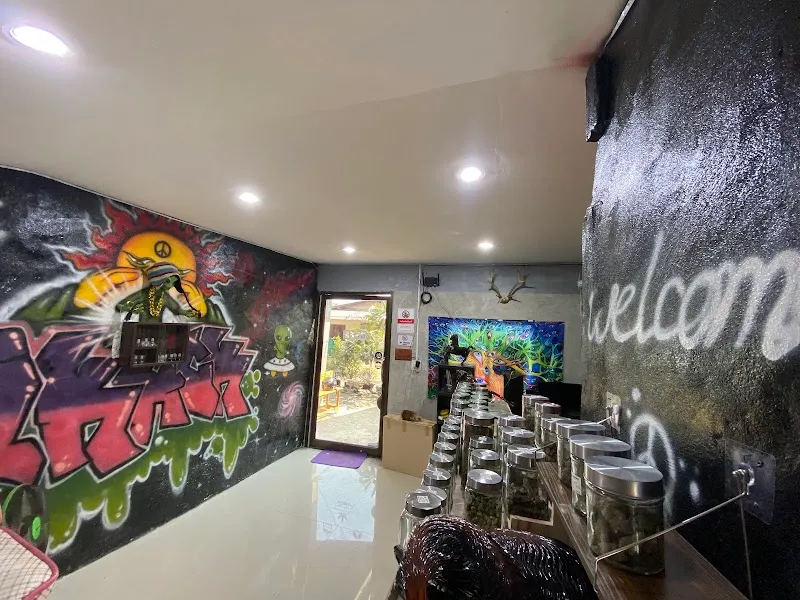 ร้านกัญชาI KACK CANNABIS