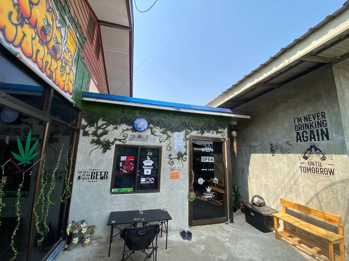 ร้านกัญชาI KACK CANNABIS