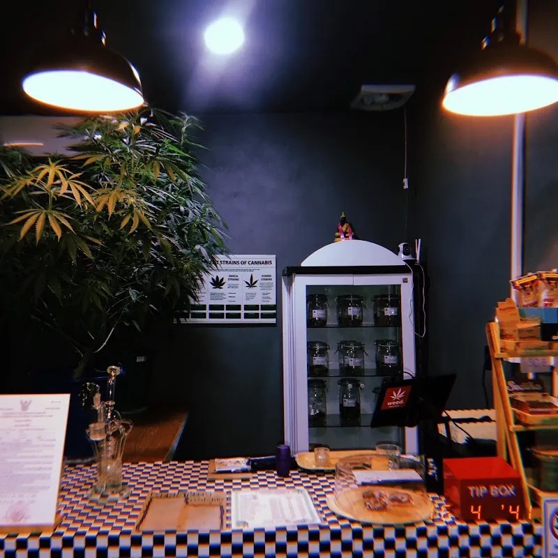 I Smoke Flower (Nice To Meet You)Cannabis Shop