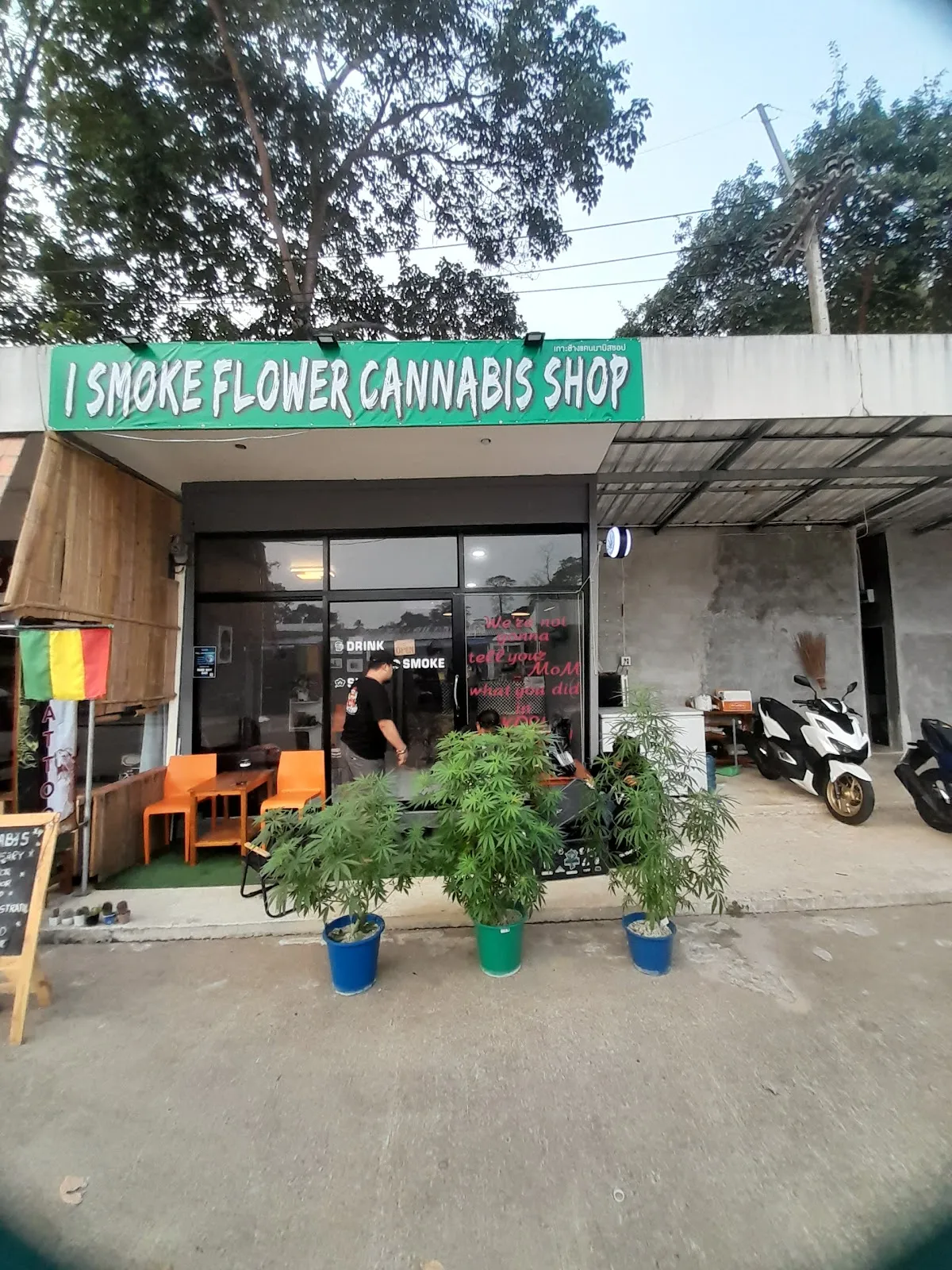 I Smoke Flower (Nice To Meet You)Cannabis Shop