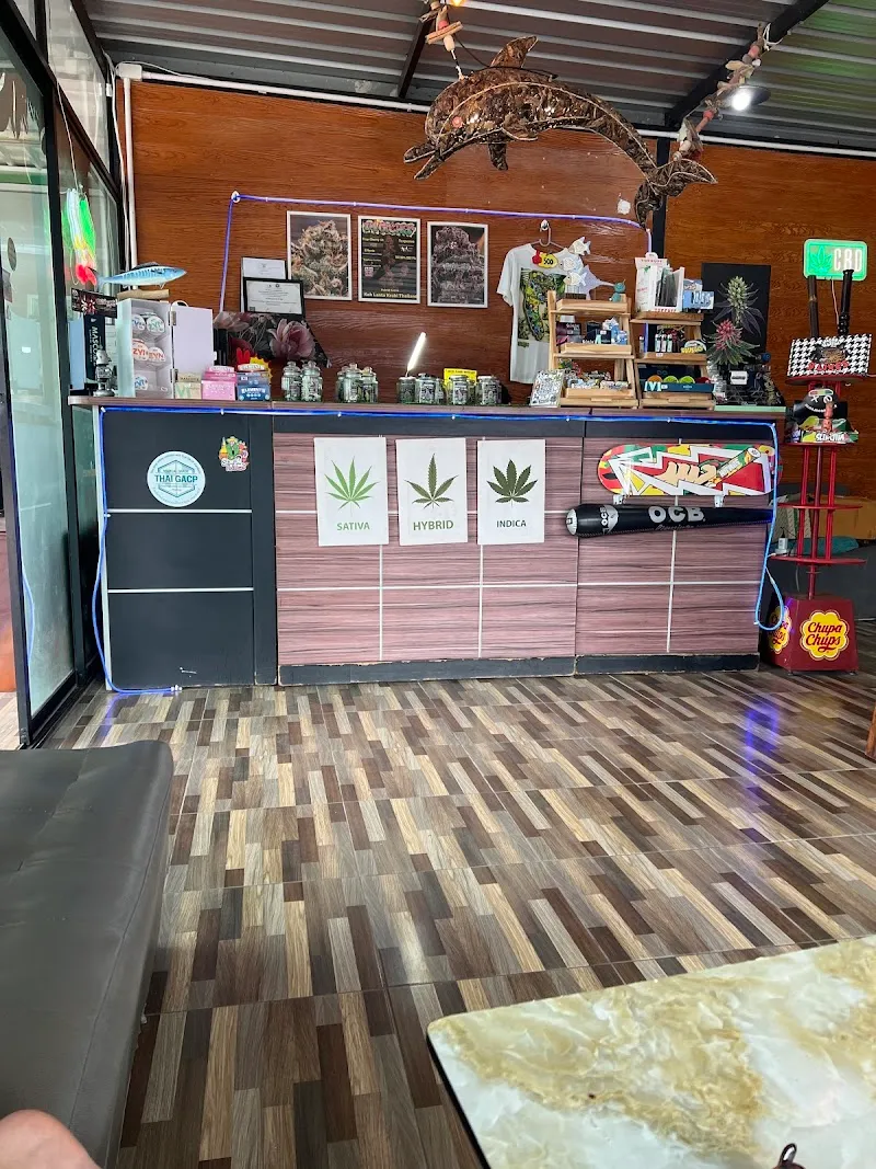 I'am Grower​ Cannabis ( local Grower )