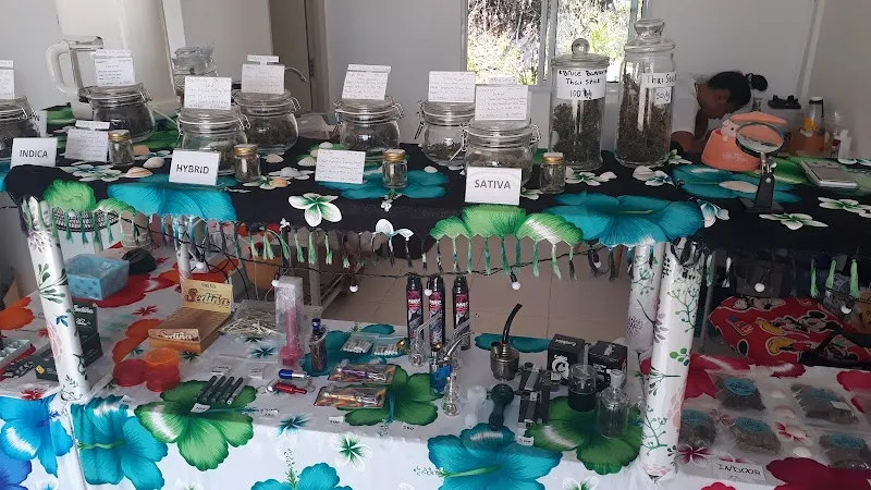 Island Life Cannabis Shop