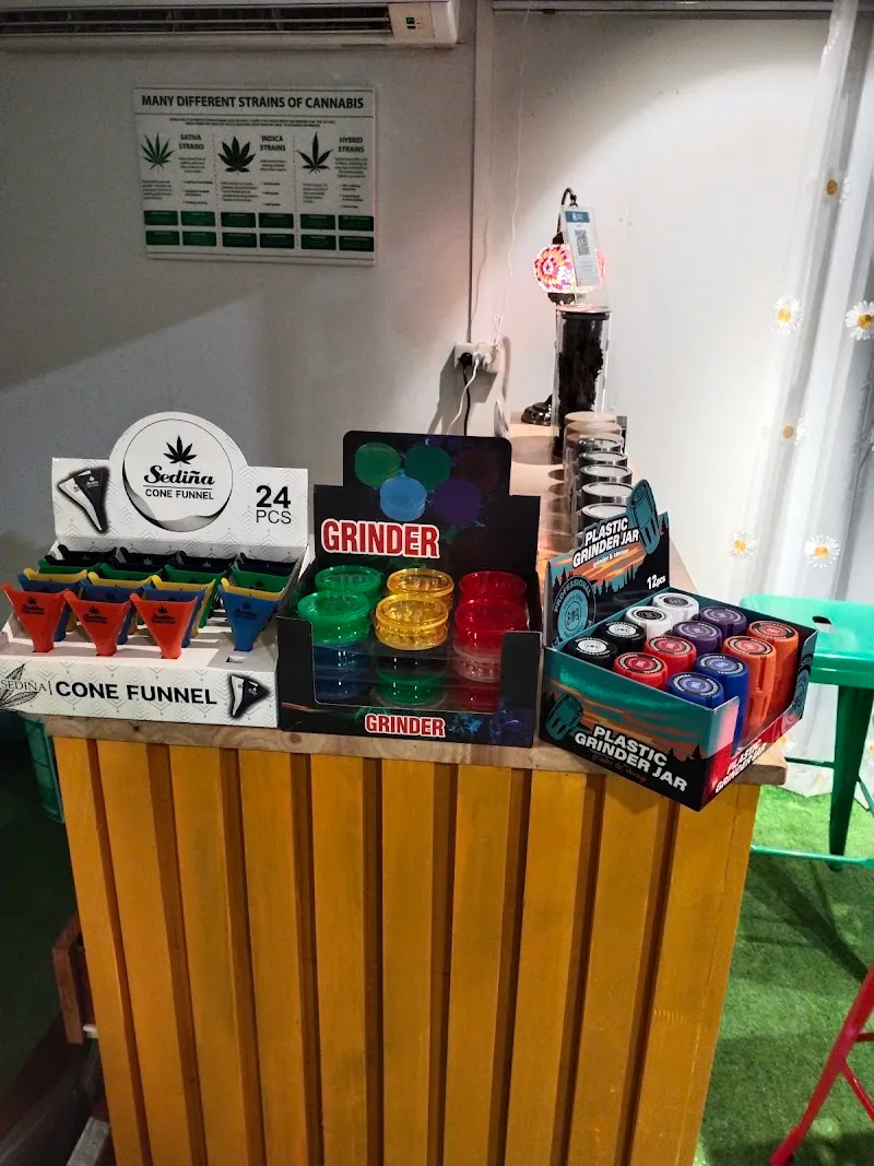 JaFord Cannabis SHOP/ จำหน่ายกัญชา (อุดร) ข้างๆเซเว่น ซ.พรหมประกาย