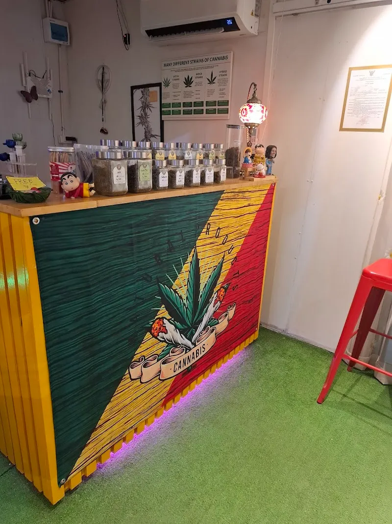 JaFord Cannabis SHOP/ จำหน่ายกัญชา (อุดร) ข้างๆเซเว่น ซ.พรหมประกาย