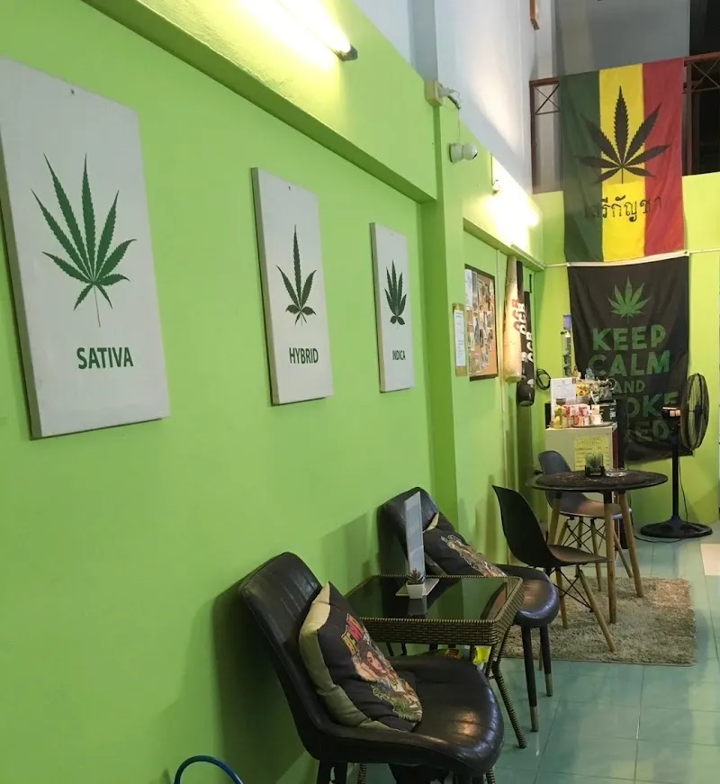Jungle Garden Cannabis Dispensary Klong Prao