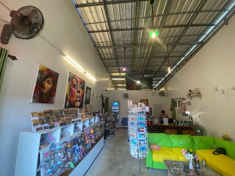 Jungle Garden Cannabis Dispensary Lonely Beach