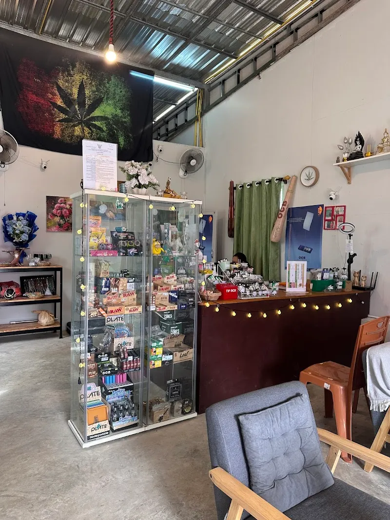 Jungle Garden Cannabis Dispensary Lonely Beach