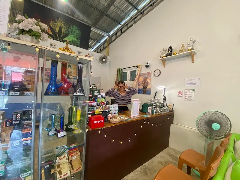 Jungle Garden Cannabis Dispensary Lonely Beach