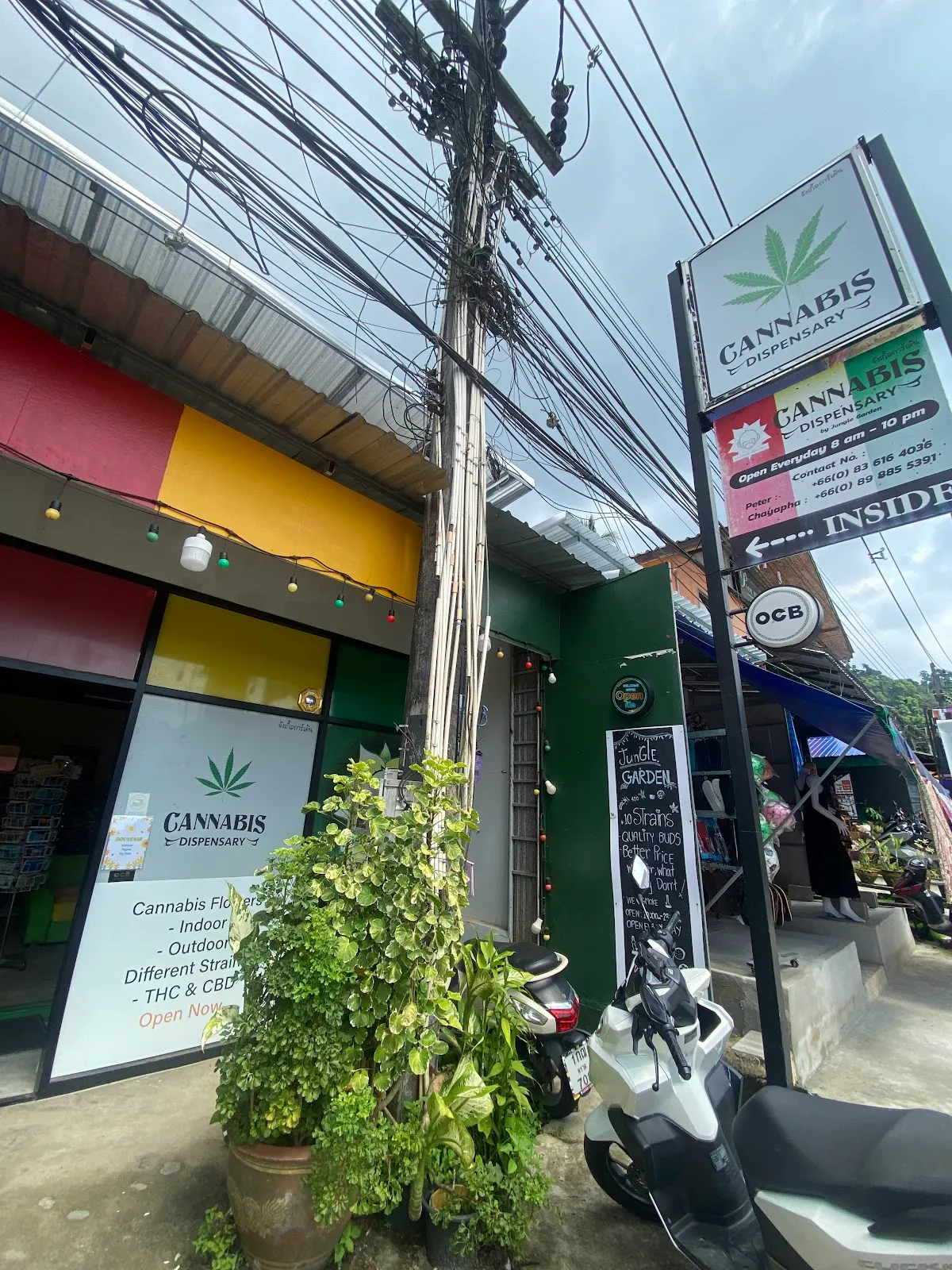 Jungle Garden Cannabis Dispensary Lonely Beach