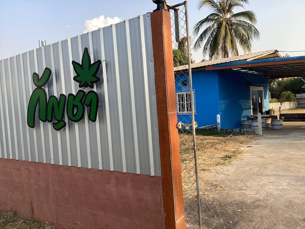 กัญชา KEN OG