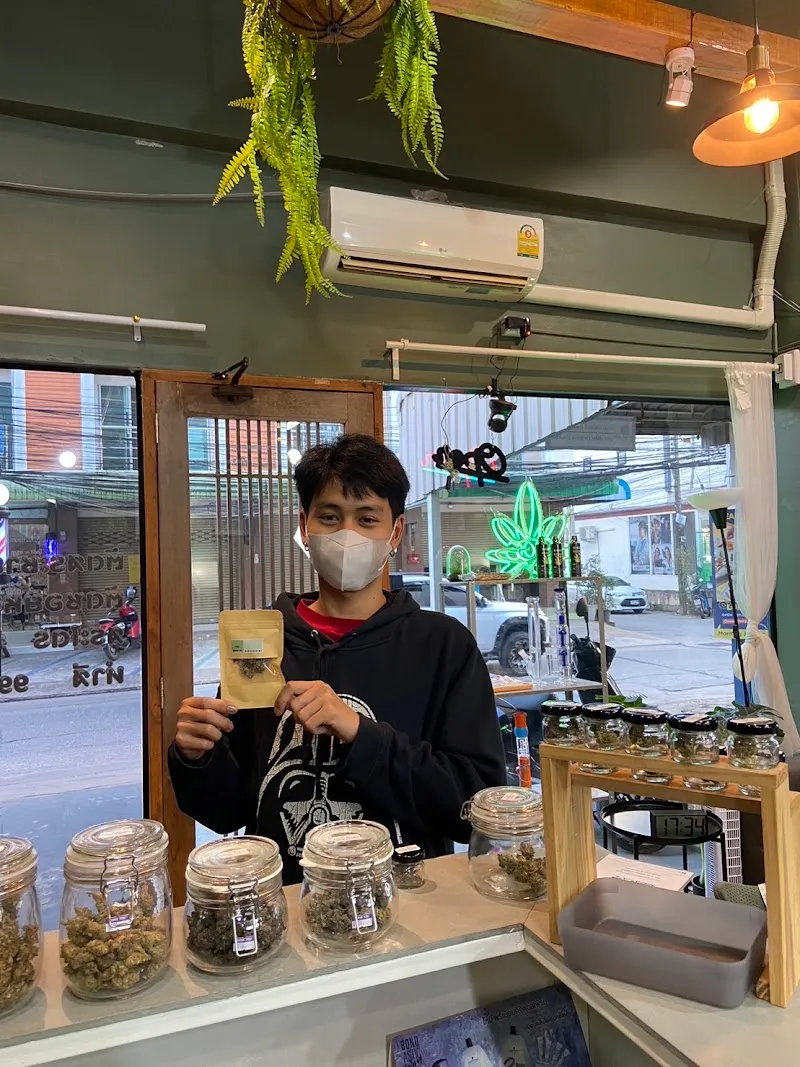 ร้านกัญชาขอนแก่นKings Og