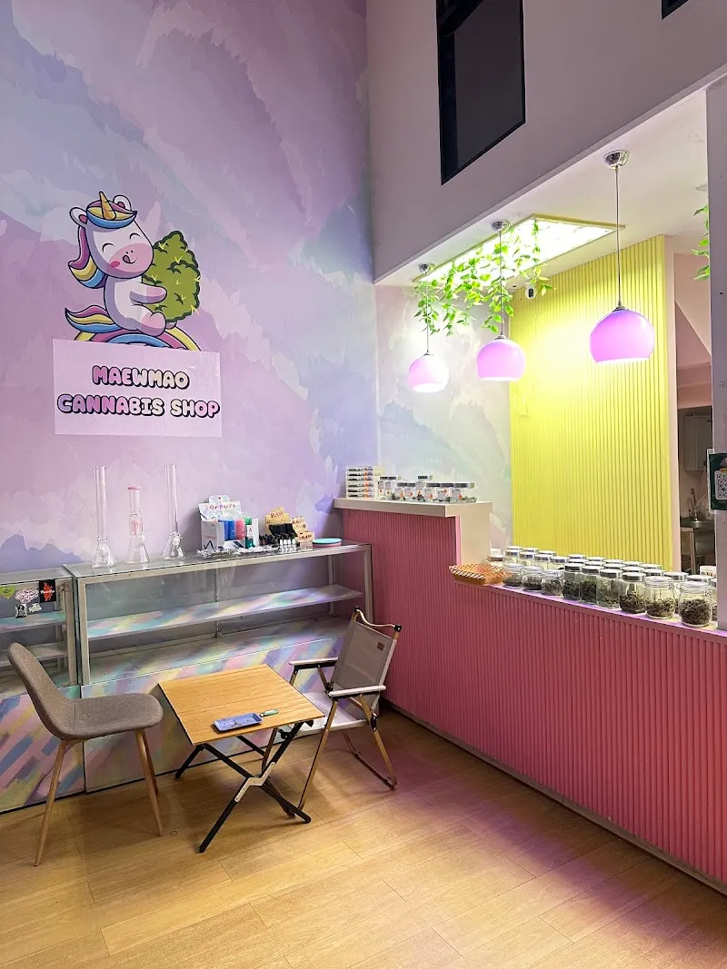 แมวเมากัญ KKC (สาขาหลังมอ ตรงข้าม #) cannabis shop