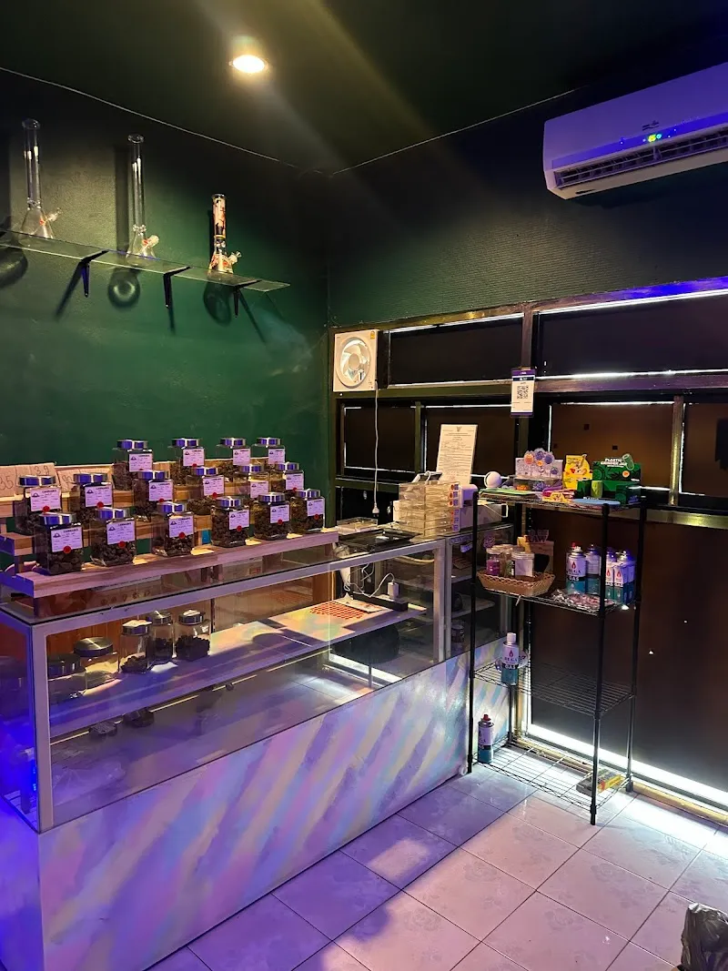 แมวเมากัญ KKC (สาขาหลังมอ ตรงข้าม #) cannabis shop