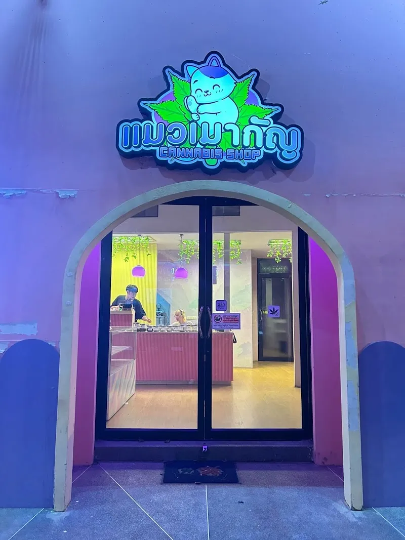 แมวเมากัญ KKC (สาขาหลังมอ ตรงข้าม #) cannabis shop