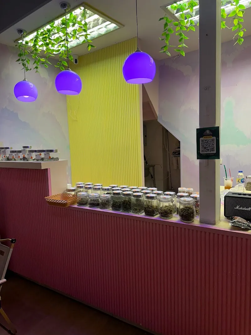 แมวเมากัญ KKC (สาขาหลังมอ ตรงข้าม #) cannabis shop