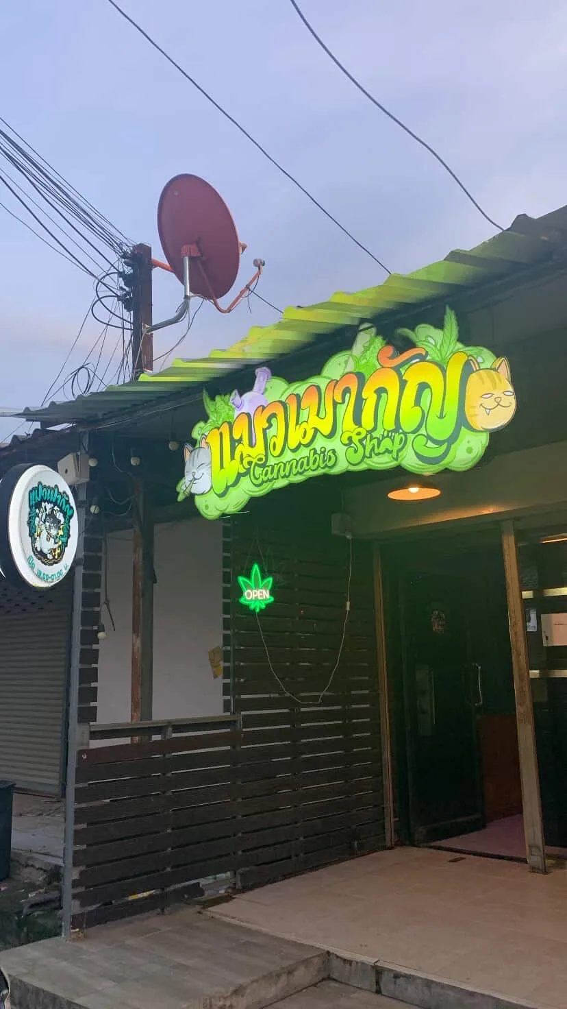 แมวเมากัญ KKC (สาขาหลังมอ ตรงข้าม #) cannabis shop