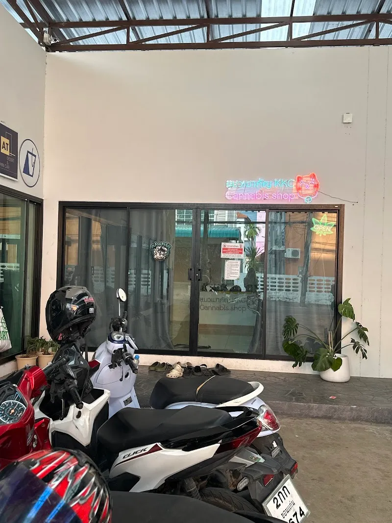 แมวเมากัญ KKC (สาขาหลังมอminimall) cannabis shop