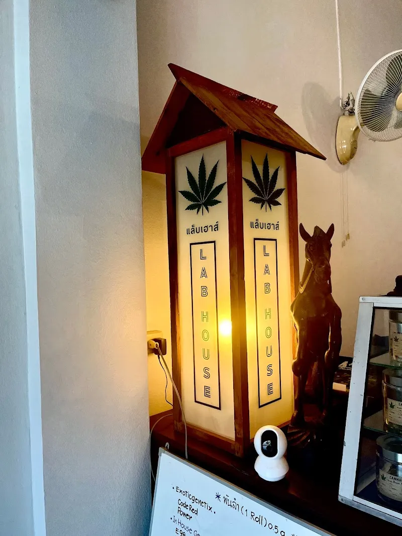 Lab House - Cannabis Shop
