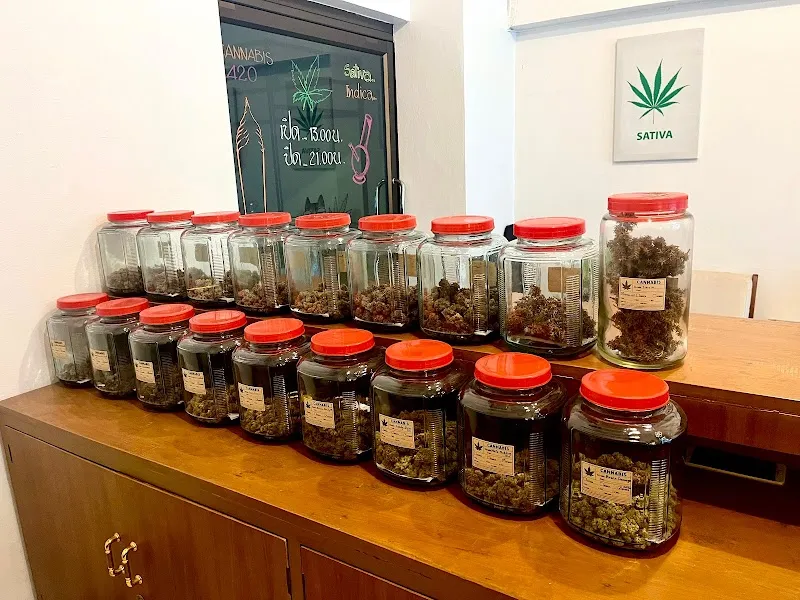 Lab House - Cannabis Shop