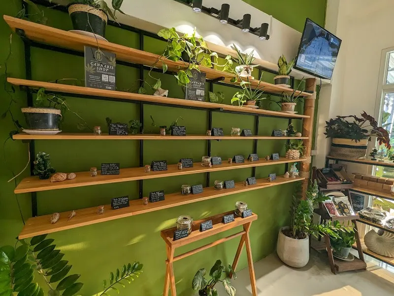 Lanta Highland Weed / Cannabis Cafe
