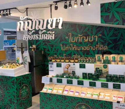 กัญญ์ยา ชาอารมณ์ดี