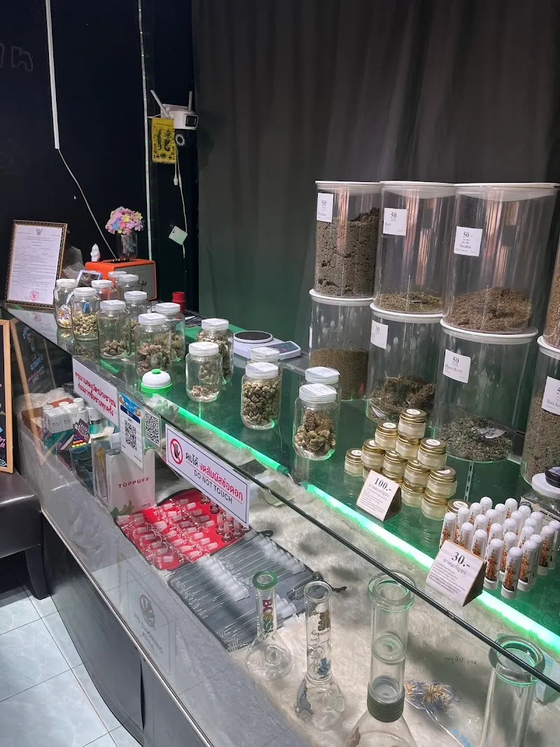 Lucky Smile cannabisมทส.ประตู4