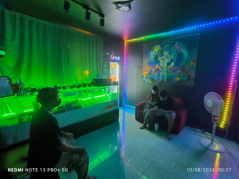 Lucky Smile cannabisมทส.ประตู4