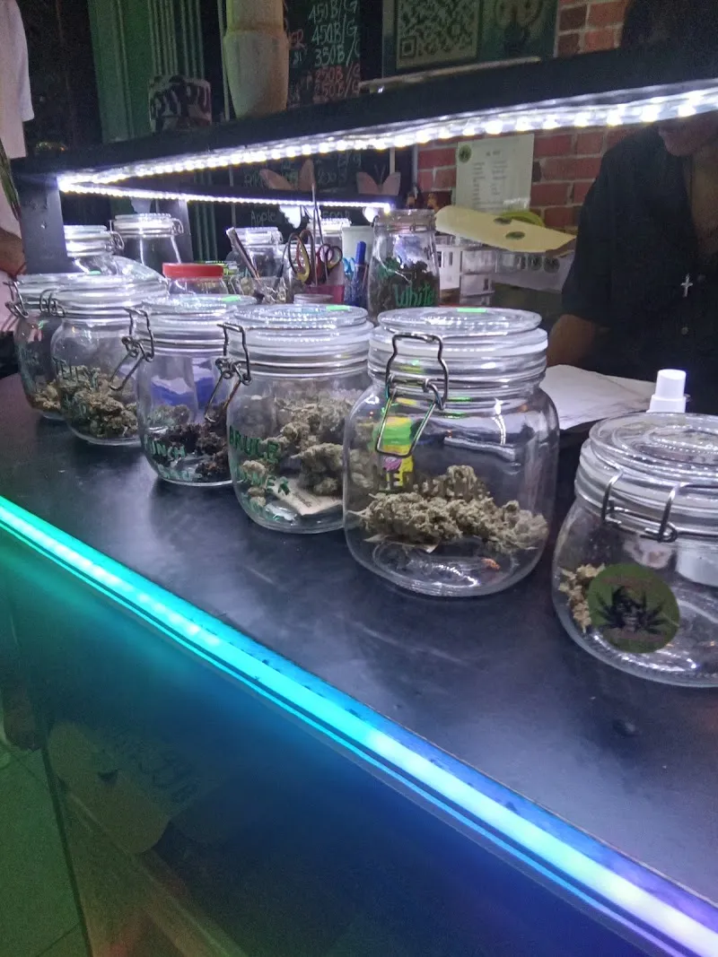 ดอกไม้วิเศษ Magie Flower Weed