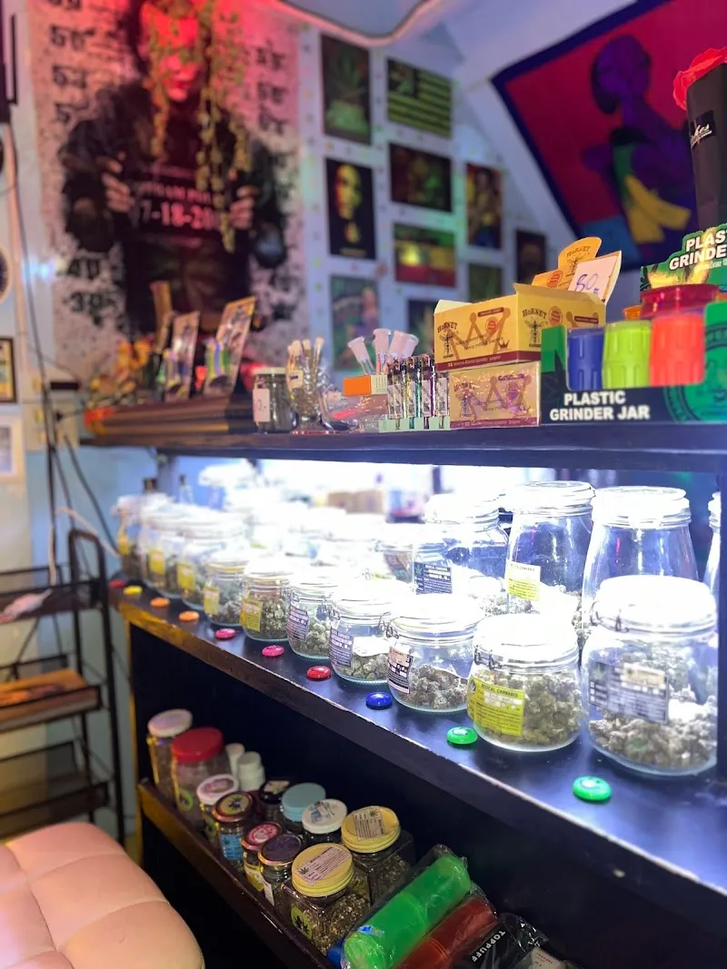 ดอกไม้วิเศษ Magie Flower Weed