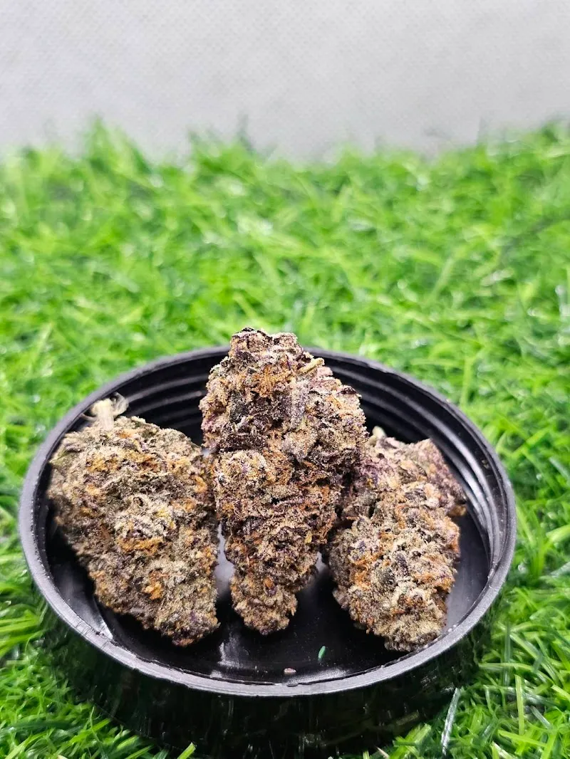 MAOSA Cannabis Shop