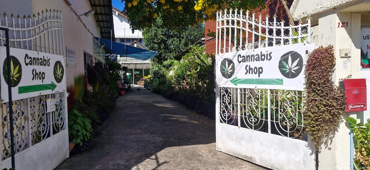 Marsirigan ร้านกัญชาอุบลราชธานี