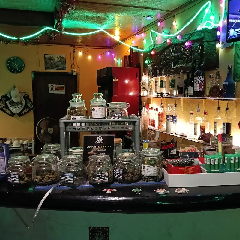 Max bar & Cannabis shop