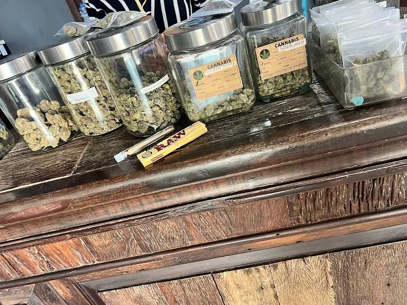 ร้านขายกัญชา MMDS CANNABIS SHOP