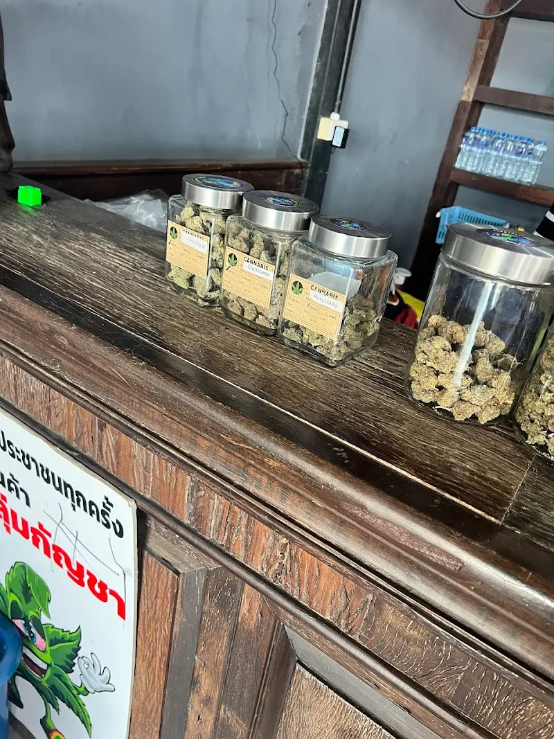 ร้านขายกัญชา MMDS CANNABIS SHOP
