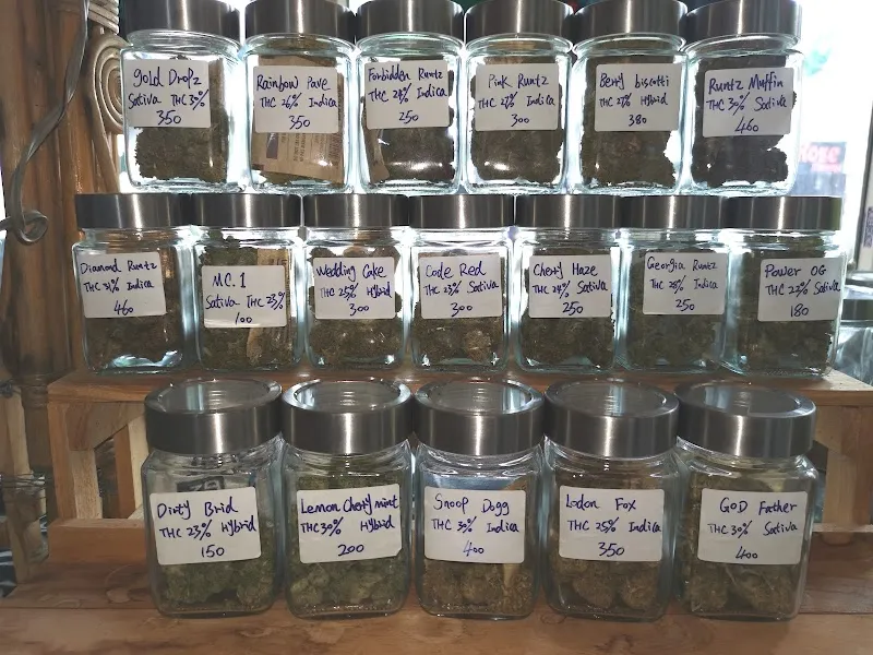 Monkey Cannabis shop