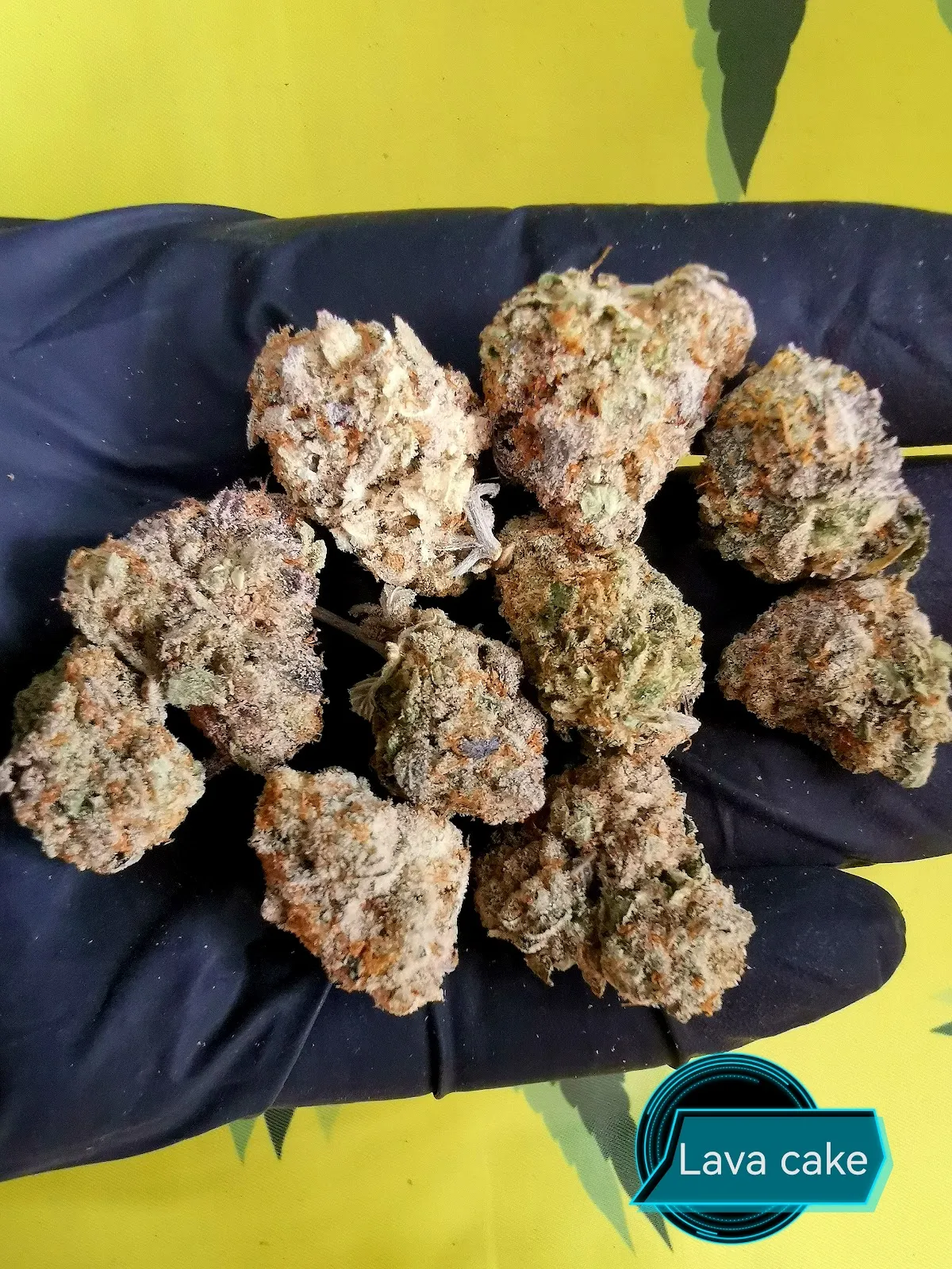 Monkey Cannabis shop