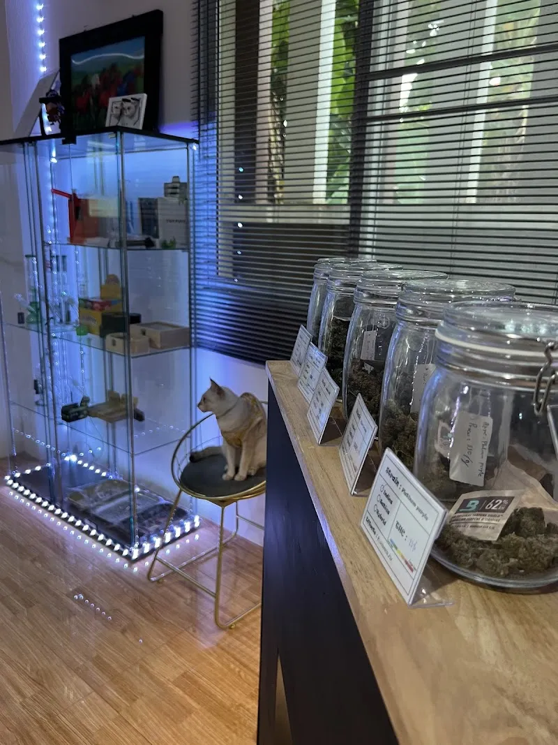 MR. TOTLE Cannabis กัญชาจันทบุรี