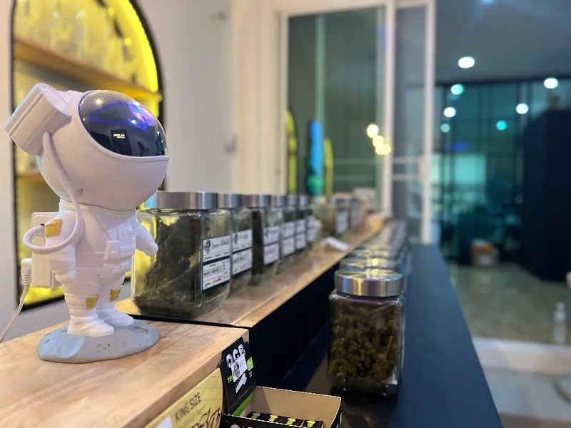 MR. TOTLE Cannabis กัญชาจันทบุรี