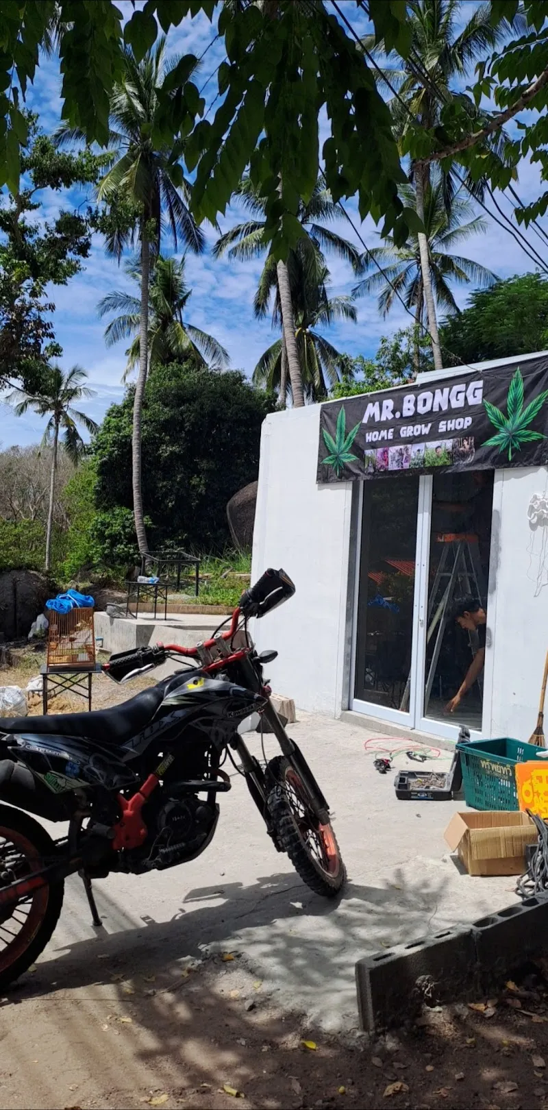 MR.BONGG CHILL ZONE SMOKE WEED & PLAY GAME