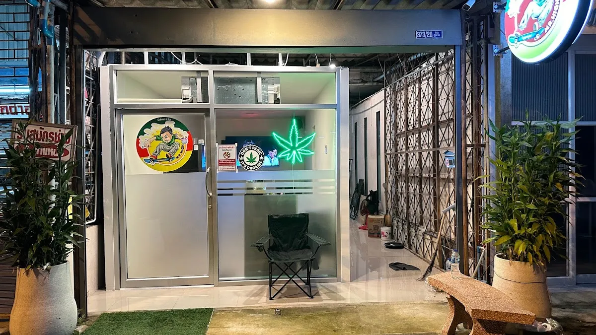 Mr.High cannabis shop