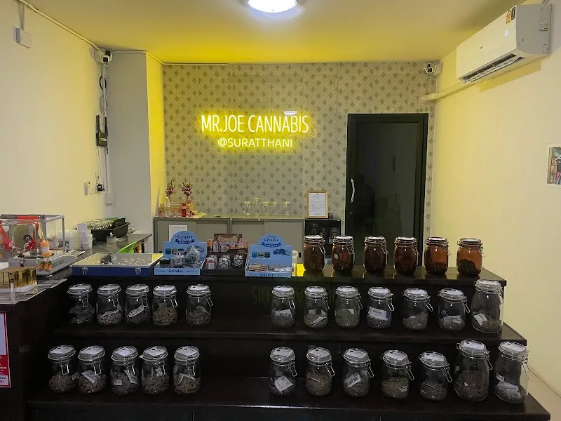 MR.JOE CANNABIS @Suratthani (บ้านดอน)
