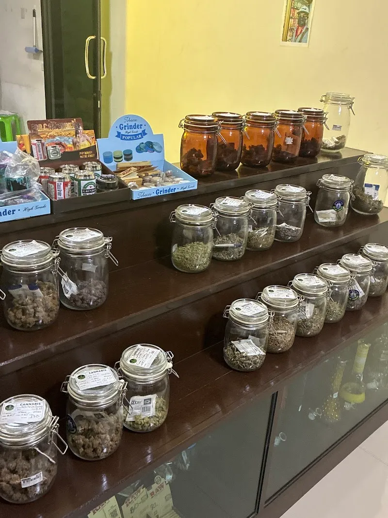 MR.JOE CANNABIS @Suratthani (บ้านดอน)
