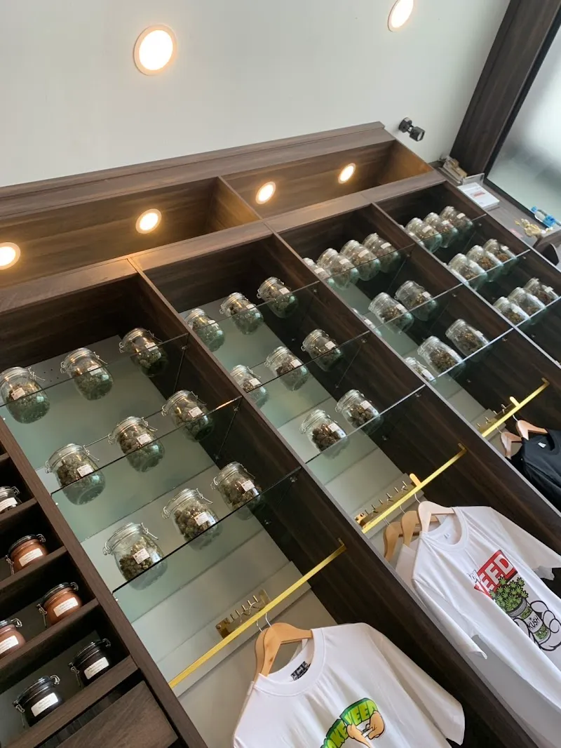 ร้านกัญชาไนท์มูฟ-กาญจนบุรี (Nightmove Kanchanaburi Cannabis store)
