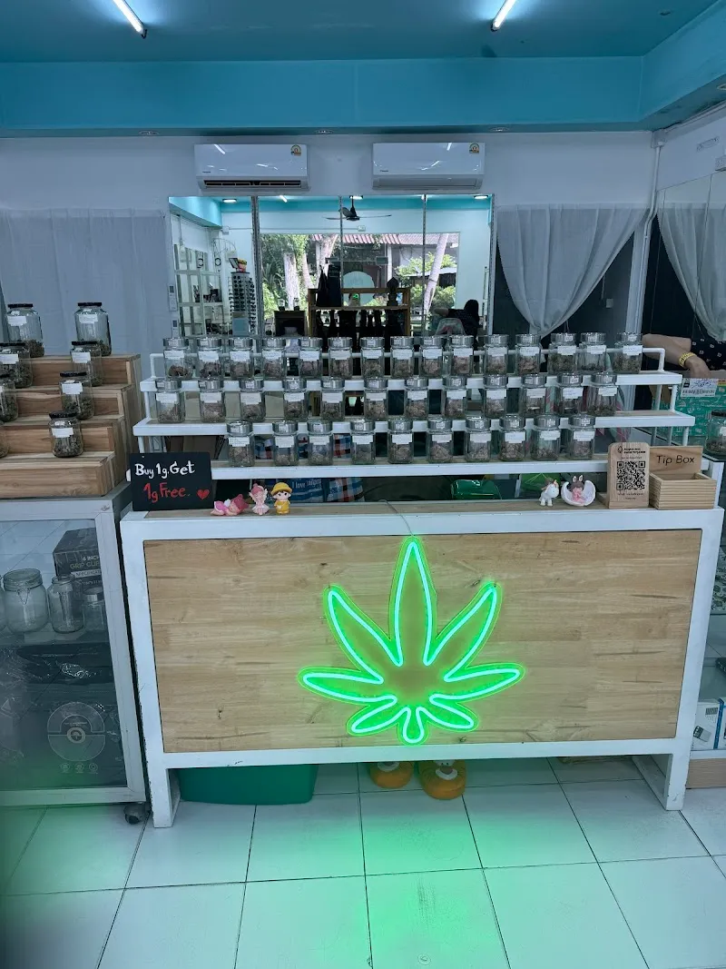 Nutta Cannabis