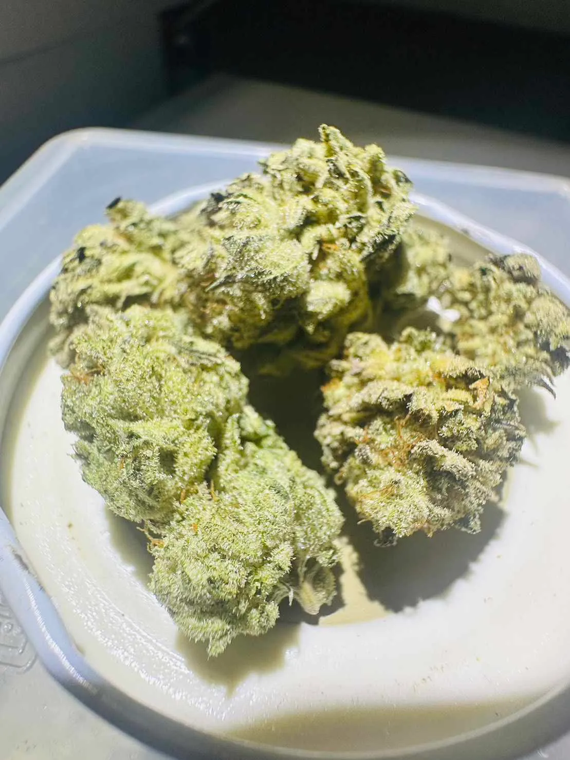 OGWeeD Grower Thailand